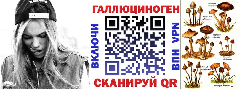 blacksprut сайт  Калач-на-Дону  Галлюциногенные грибы Psilocybine cubensis 