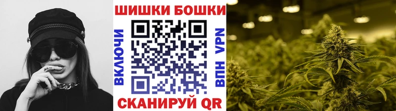 Бошки марихуана план  Калач-на-Дону 